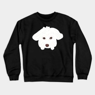 Innocent Maltipoo Crewneck Sweatshirt